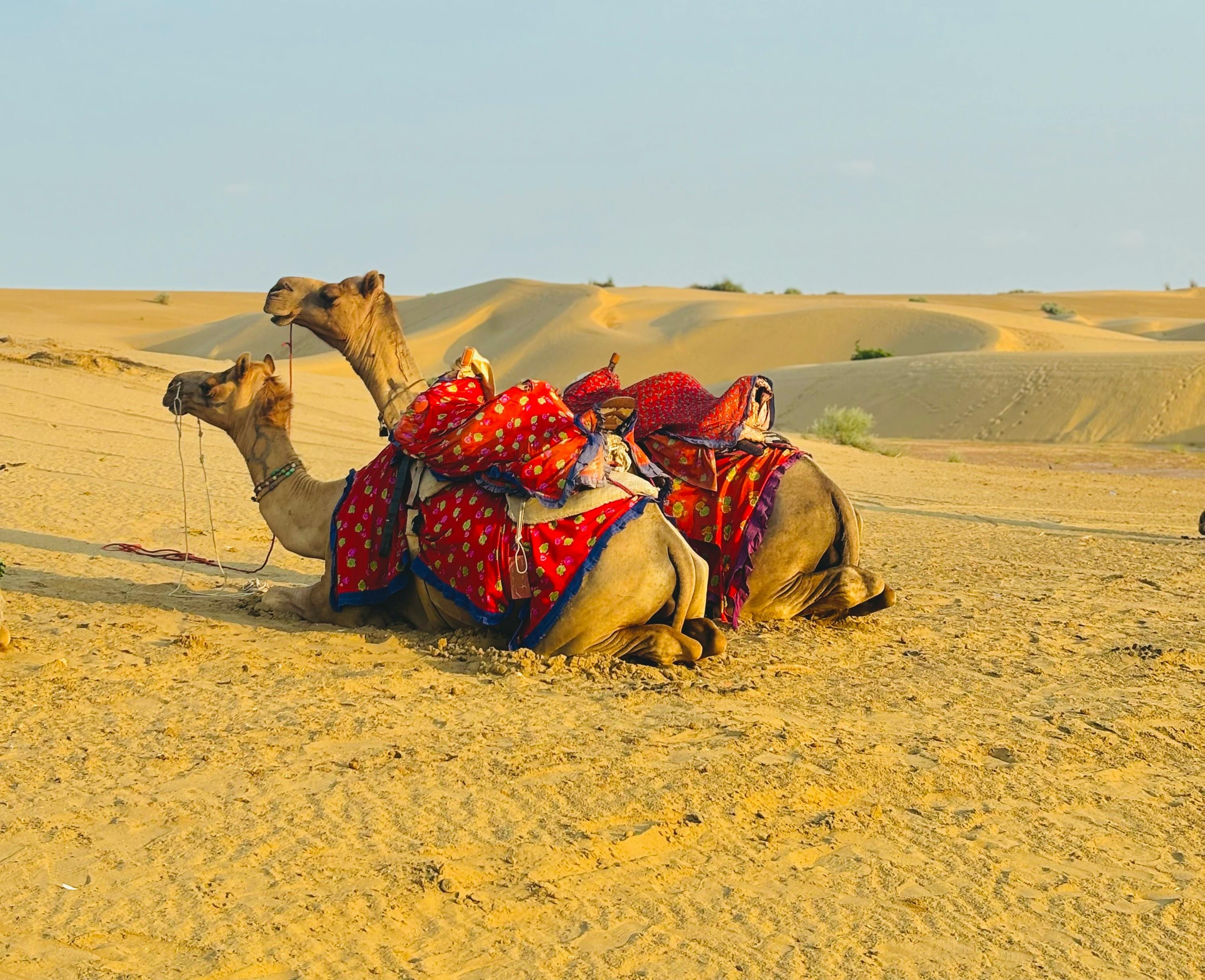 Kutch