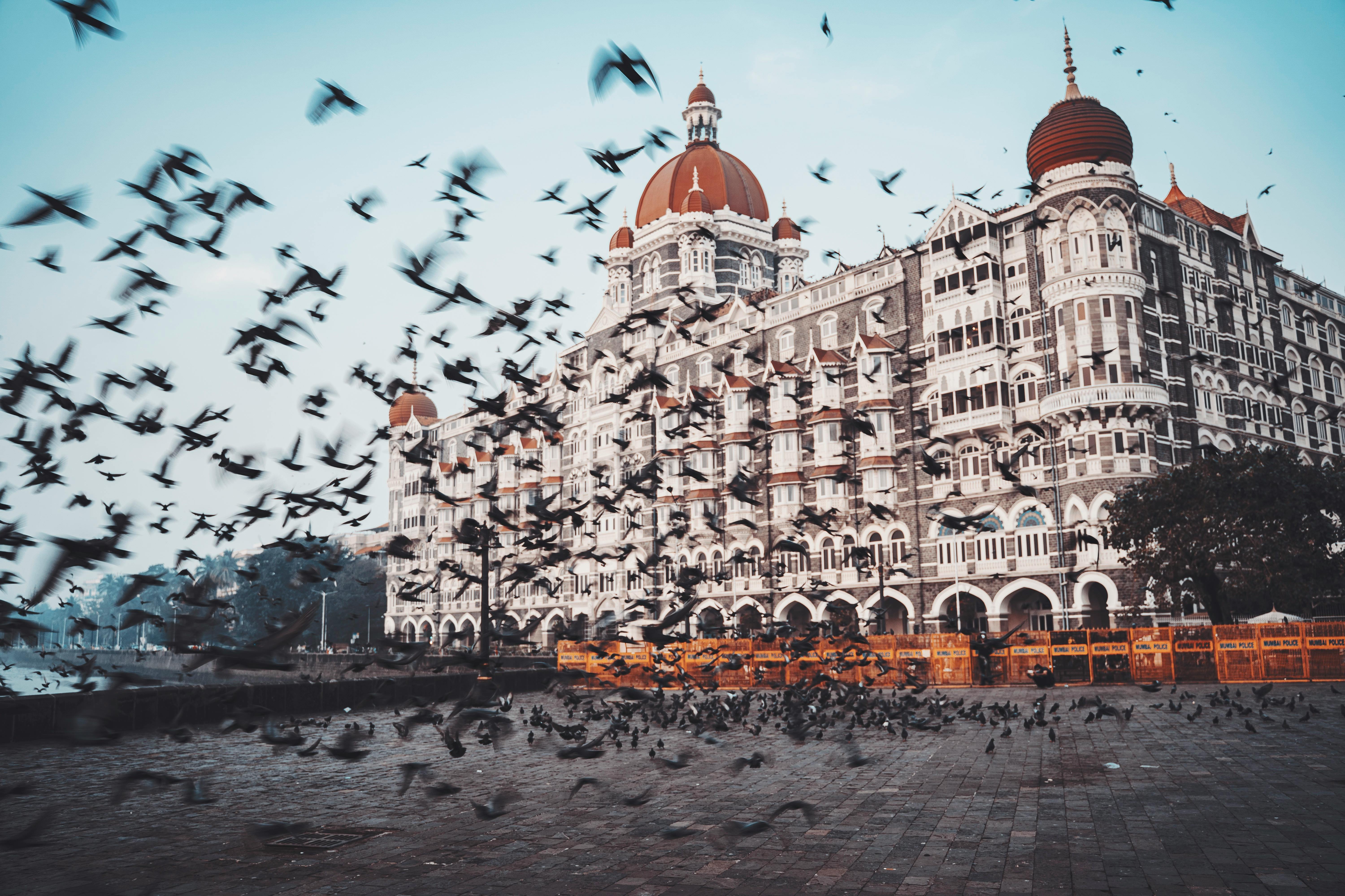 Tailor-Made Tour Packages